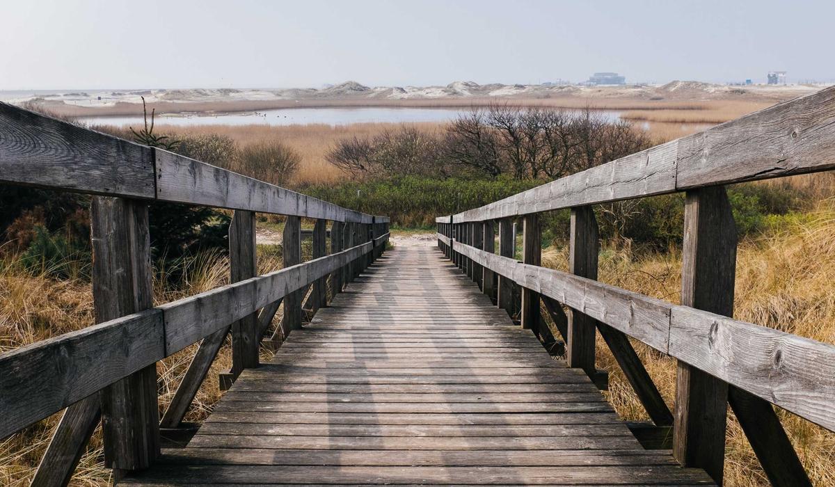 What readers should know before finding better examples